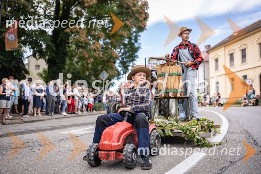 47. Lendavska trgatev, Festival Vinarium