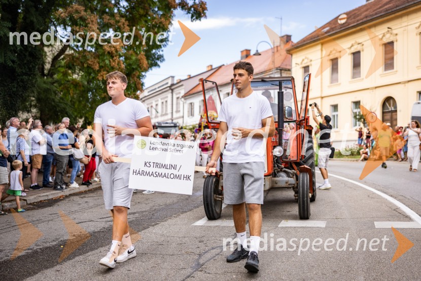 47. Lendavska trgatev, Festival Vinarium