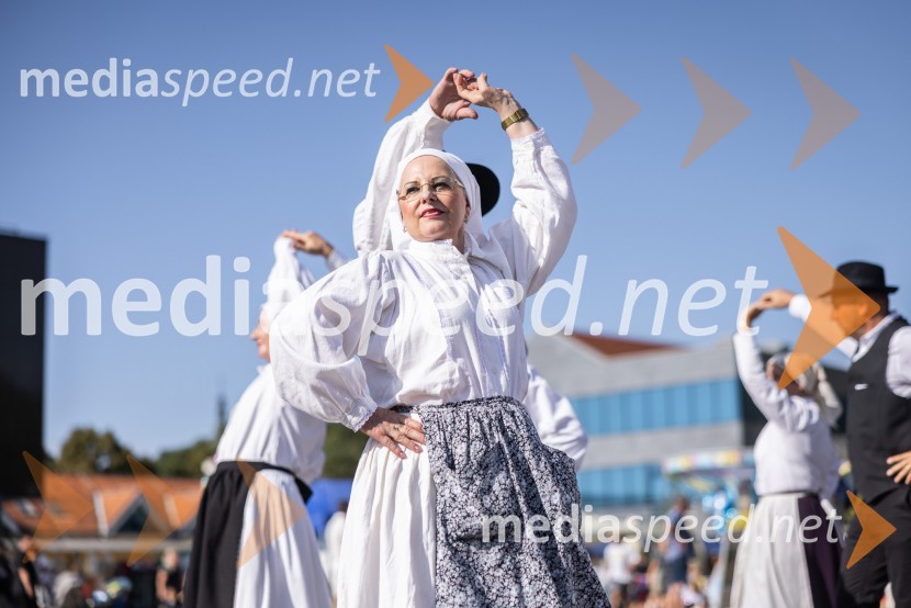47. Lendavska trgatev, Festival Vinarium