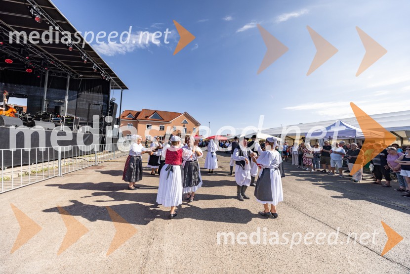 47. Lendavska trgatev, Festival Vinarium