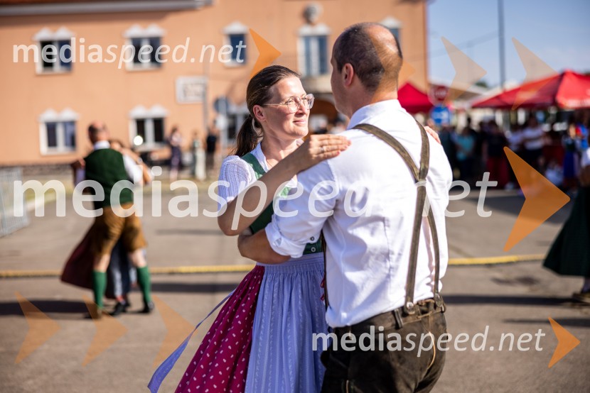 47. Lendavska trgatev, Festival Vinarium