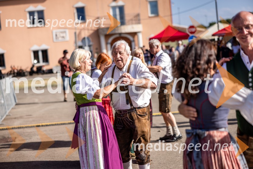47. Lendavska trgatev, Festival Vinarium