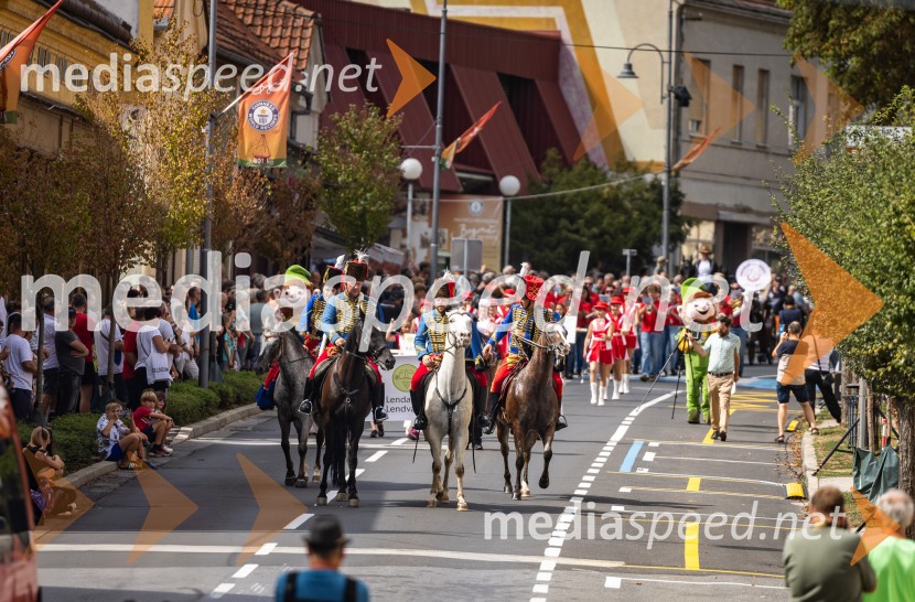 47. Lendavska trgatev, Festival Vinarium