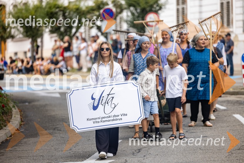 47. Lendavska trgatev, Festival Vinarium