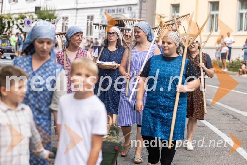 47. Lendavska trgatev, Festival Vinarium