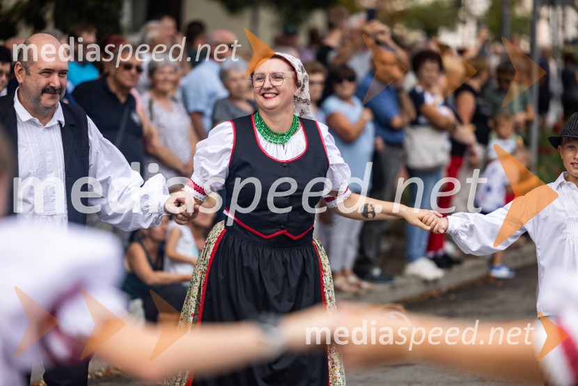 47. Lendavska trgatev, Festival Vinarium