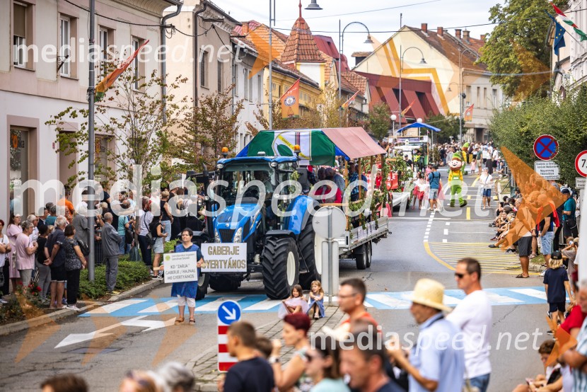 47. Lendavska trgatev, Festival Vinarium