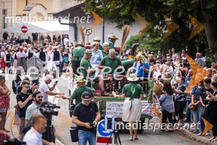 47. Lendavska trgatev, Festival Vinarium
