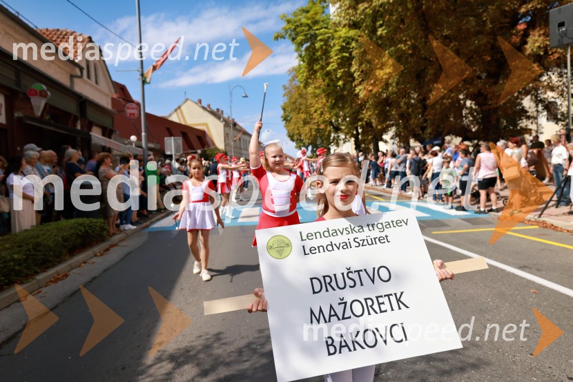 47. Lendavska trgatev, Festival Vinarium