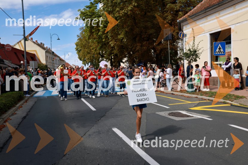 47. Lendavska trgatev, Festival Vinarium
