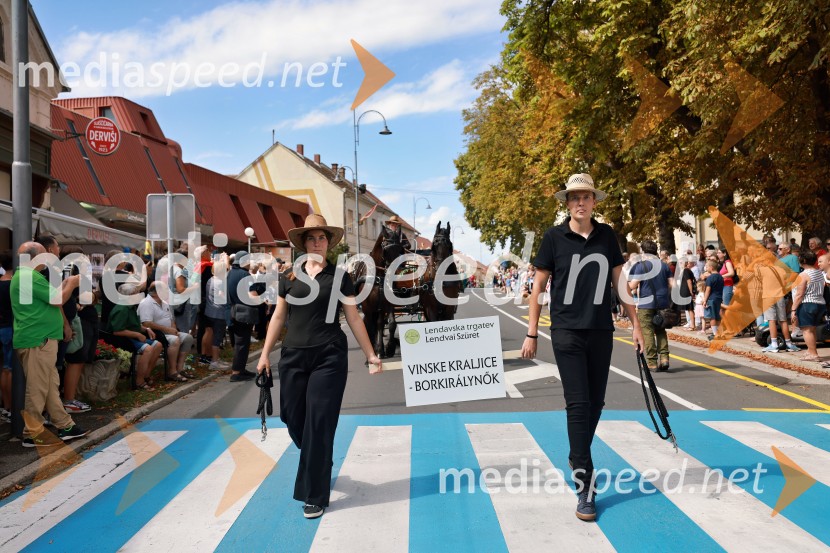 47. Lendavska trgatev, Festival Vinarium