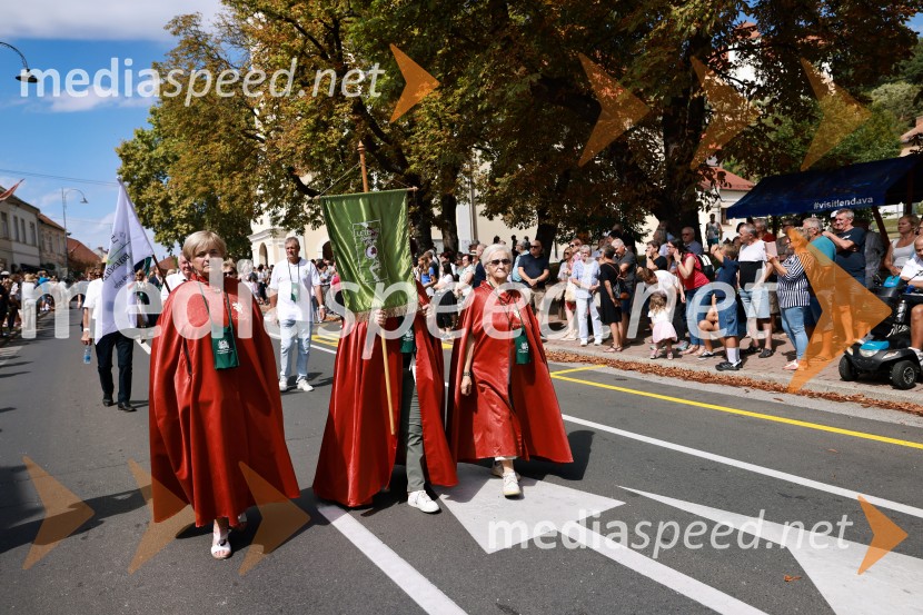47. Lendavska trgatev, Festival Vinarium