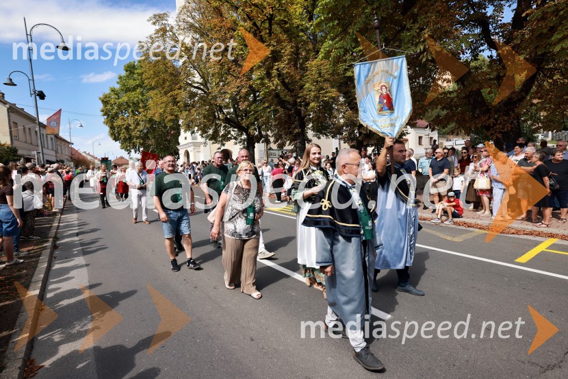 47. Lendavska trgatev, Festival Vinarium