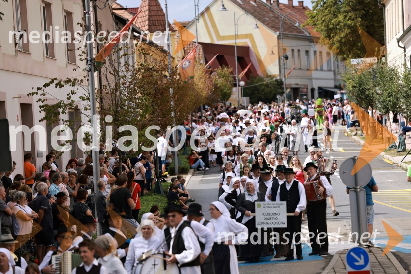 47. Lendavska trgatev, Festival Vinarium