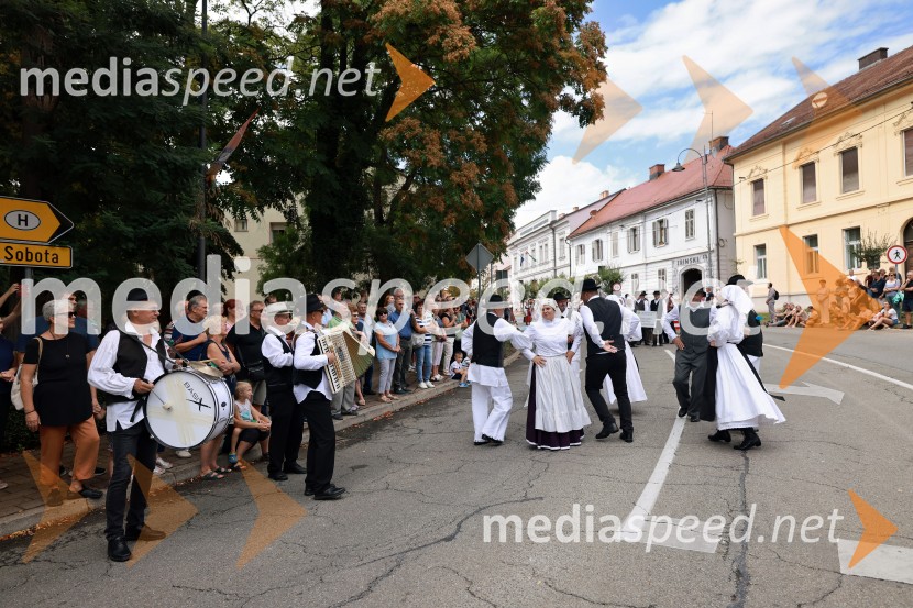 47. Lendavska trgatev, Festival Vinarium