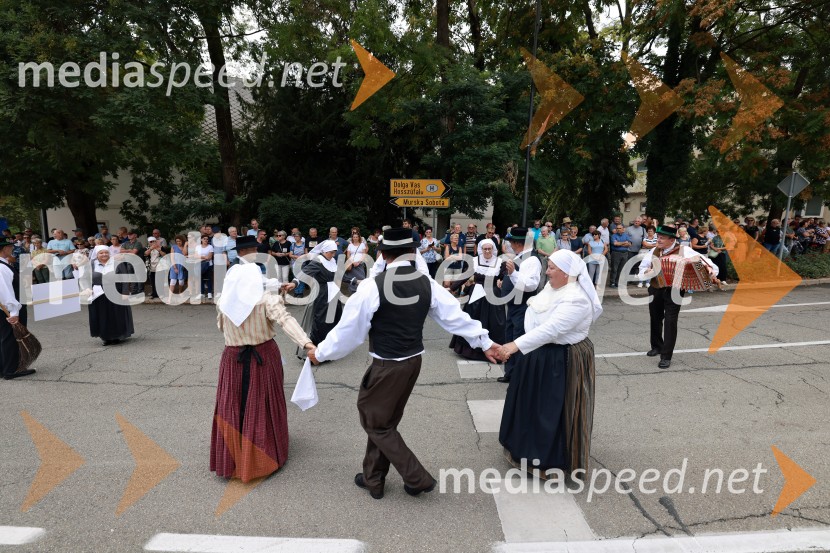 47. Lendavska trgatev, Festival Vinarium