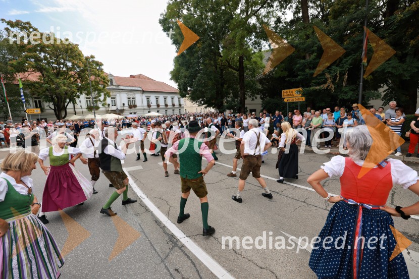 47. Lendavska trgatev, Festival Vinarium