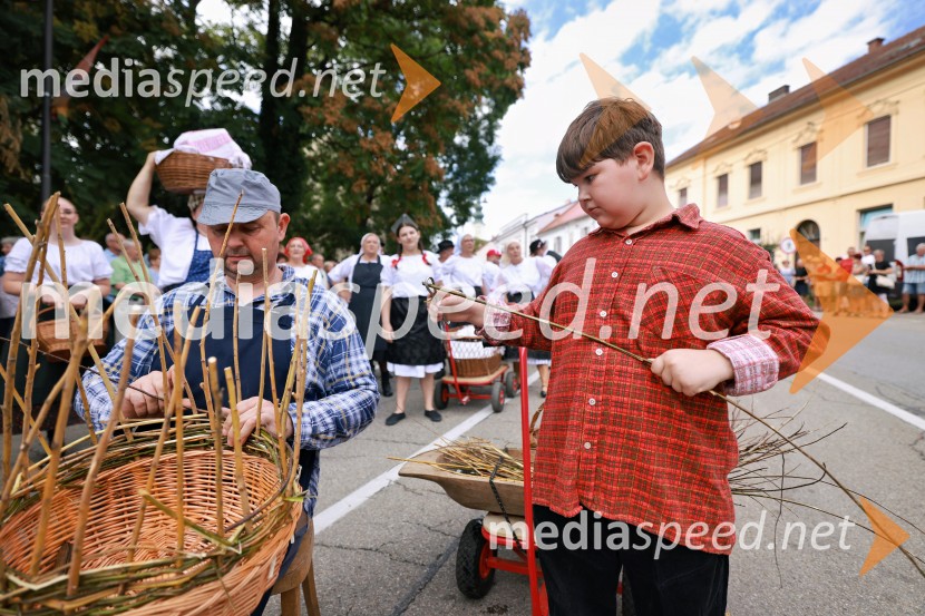 47. Lendavska trgatev, Festival Vinarium