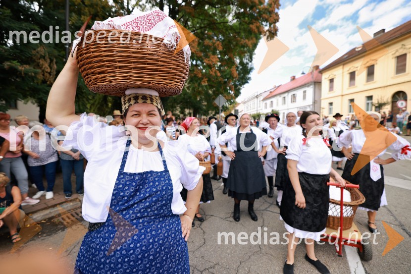 47. Lendavska trgatev, Festival Vinarium