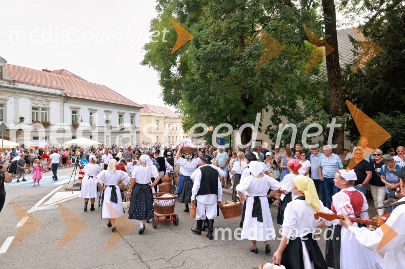 47. Lendavska trgatev, Festival Vinarium