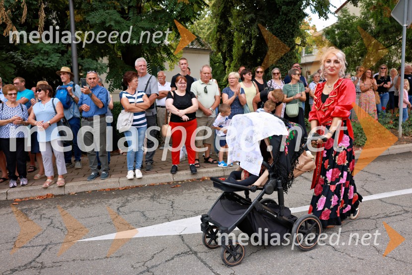 47. Lendavska trgatev, Festival Vinarium