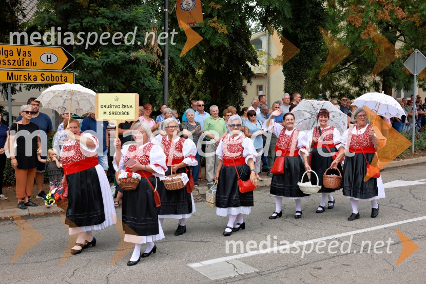47. Lendavska trgatev, Festival Vinarium