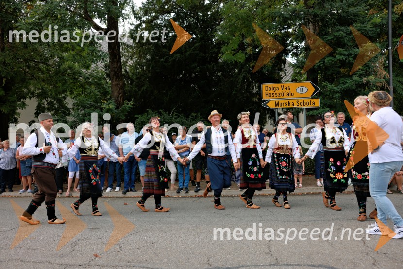 47. Lendavska trgatev, Festival Vinarium