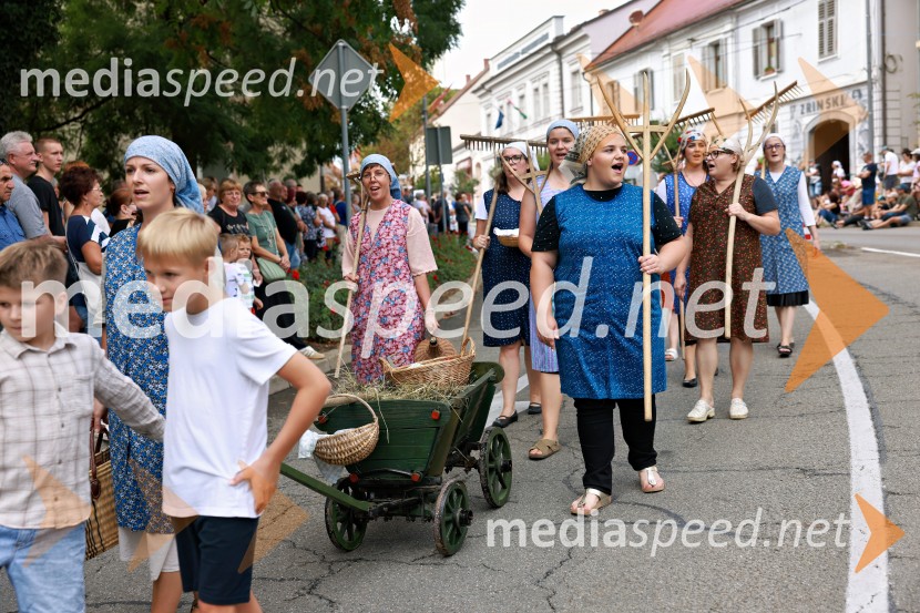 47. Lendavska trgatev, Festival Vinarium