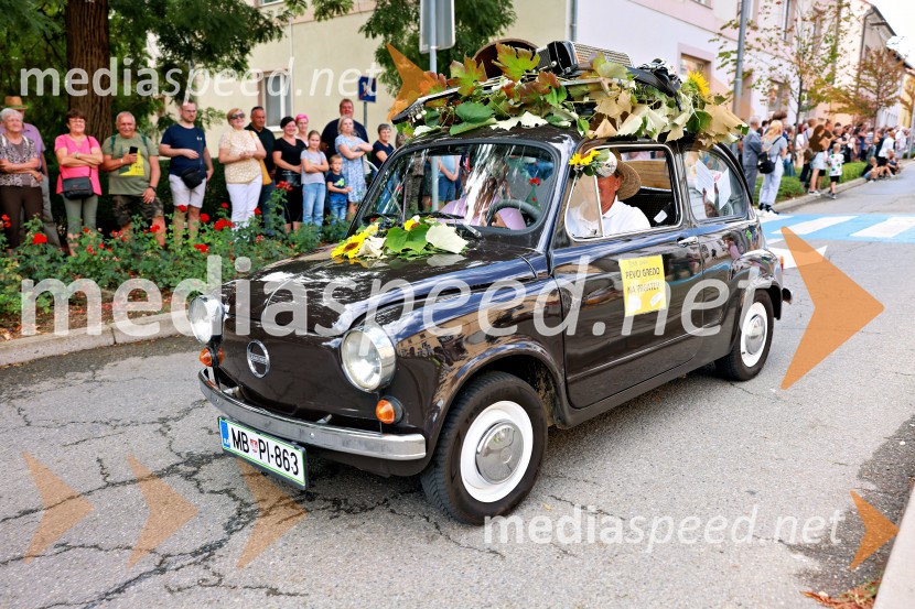 47. Lendavska trgatev, Festival Vinarium