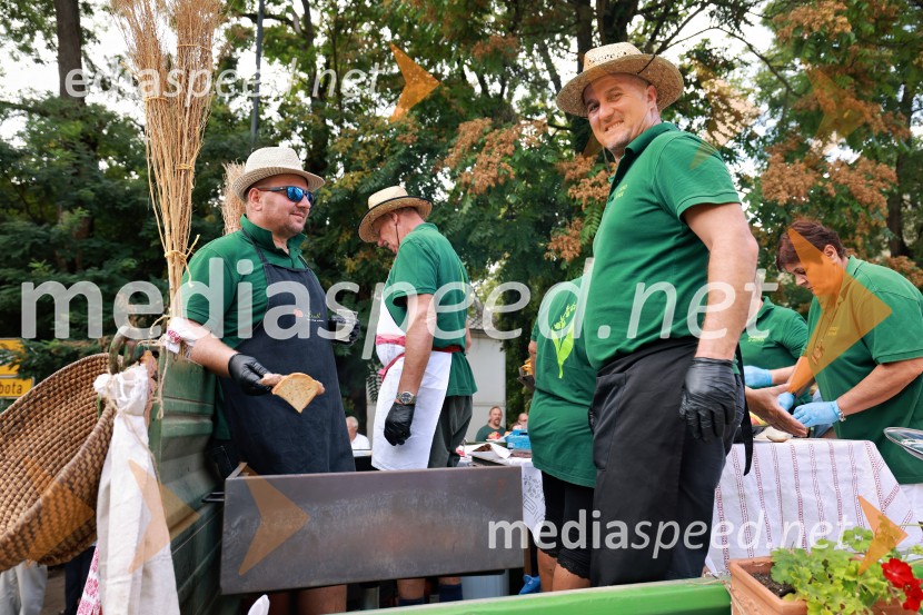 47. Lendavska trgatev, Festival Vinarium