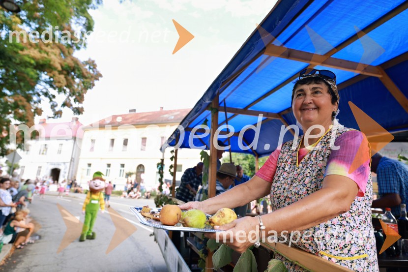 47. Lendavska trgatev, Festival Vinarium