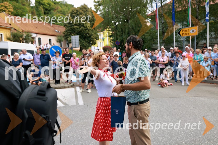 47. Lendavska trgatev, Festival Vinarium