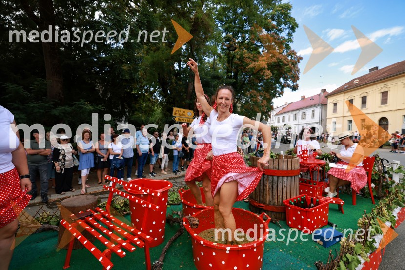 47. Lendavska trgatev, Festival Vinarium