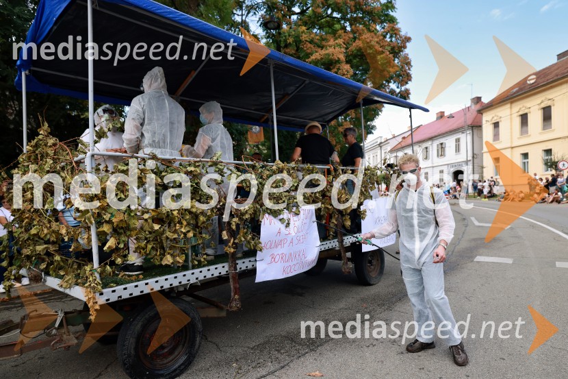 47. Lendavska trgatev, Festival Vinarium