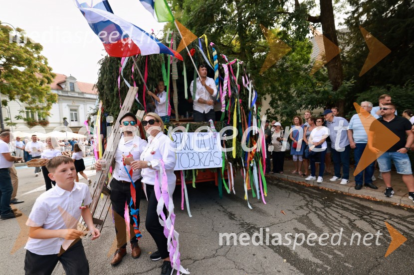 47. Lendavska trgatev, Festival Vinarium