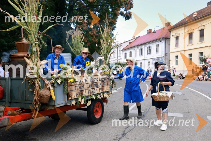 47. Lendavska trgatev, Festival Vinarium