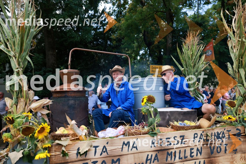 47. Lendavska trgatev, Festival Vinarium
