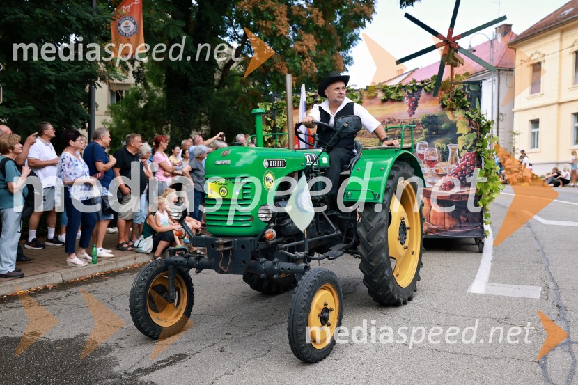 47. Lendavska trgatev, Festival Vinarium