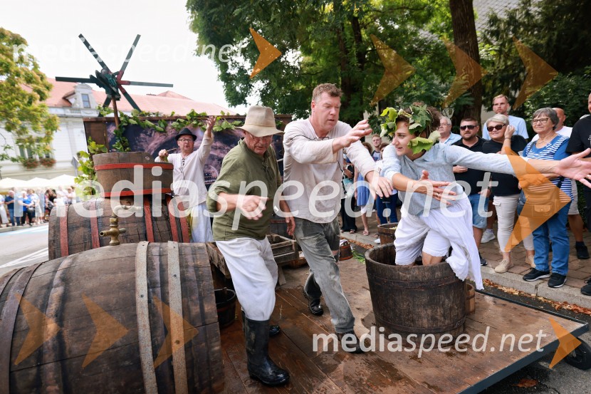 47. Lendavska trgatev, Festival Vinarium