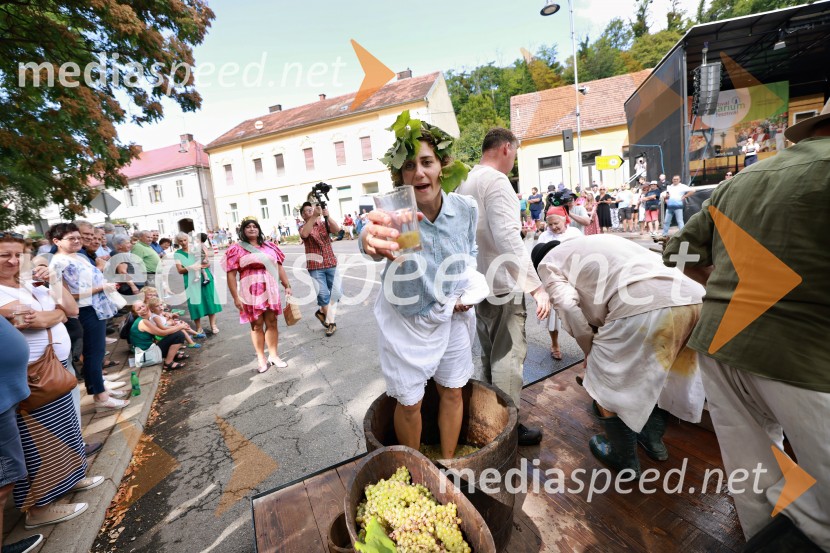 47. Lendavska trgatev, Festival Vinarium