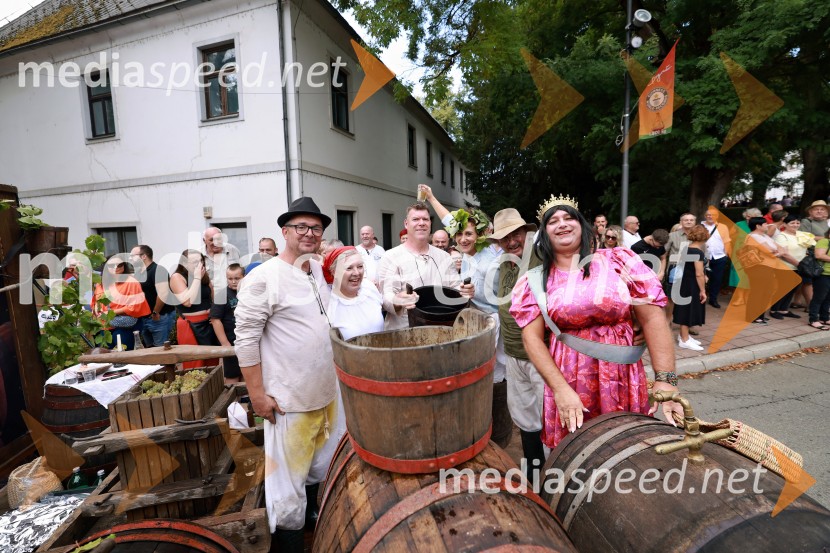 47. Lendavska trgatev, Festival Vinarium