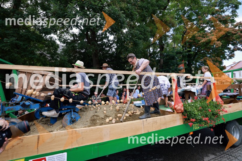 47. Lendavska trgatev, Festival Vinarium