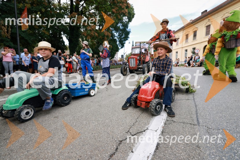 47. Lendavska trgatev, Festival Vinarium