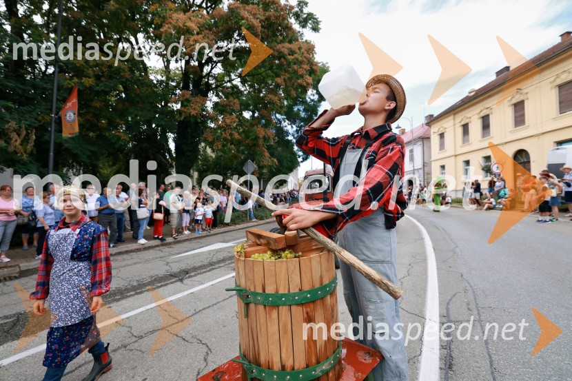 47. Lendavska trgatev, Festival Vinarium