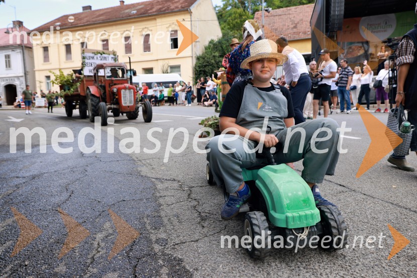 47. Lendavska trgatev, Festival Vinarium