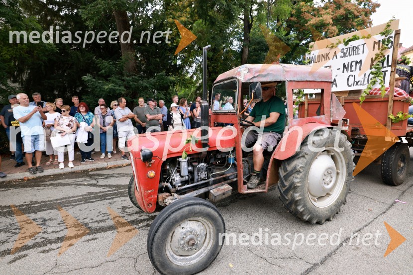 47. Lendavska trgatev, Festival Vinarium