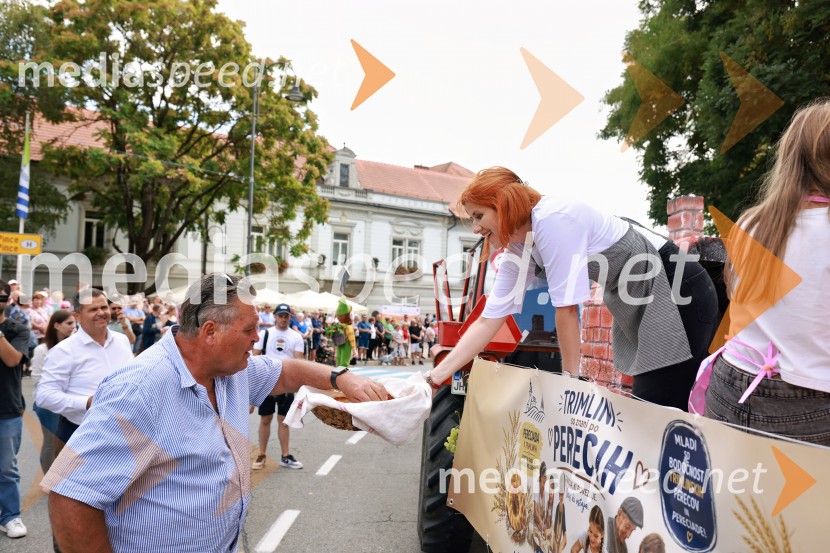 47. Lendavska trgatev, Festival Vinarium
