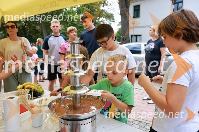 47. Lendavska trgatev, Festival Vinarium