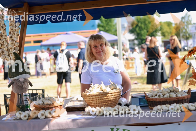 47. Lendavska trgatev, Festival Vinarium