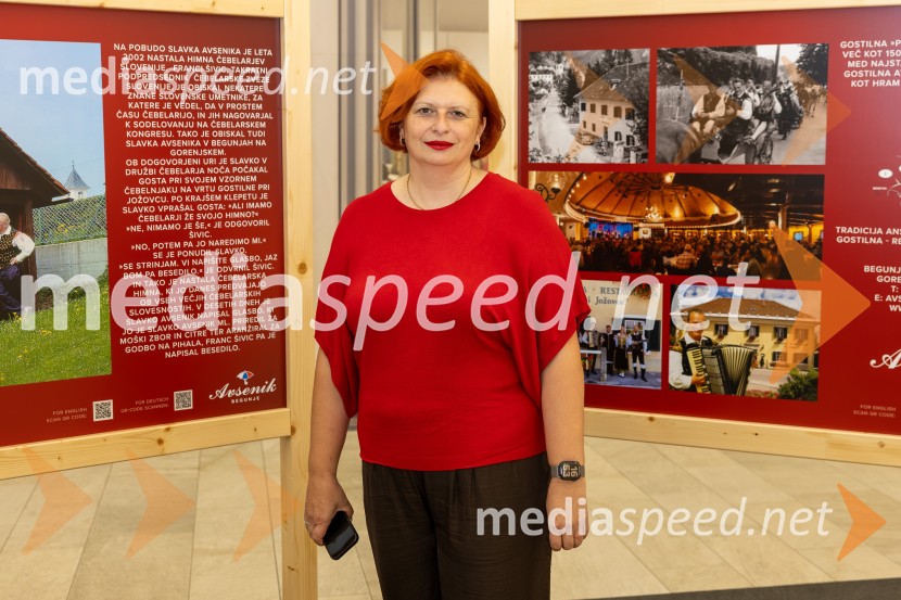  Simona Mandl, center managerka EuroparkaAnsambel Saša Avsenika, Europark 26. rojstni dan